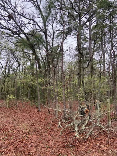 2529 CR 3540 Hawkins, TX 75765