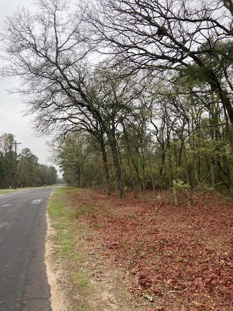 2529 CR 3540 Hawkins, TX 75765
