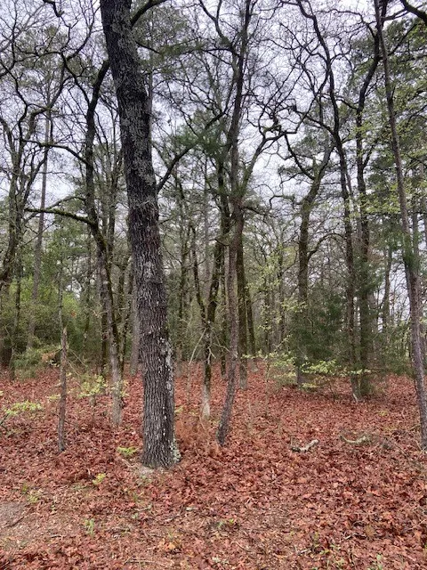 2529 CR 3540 Hawkins, TX 75765