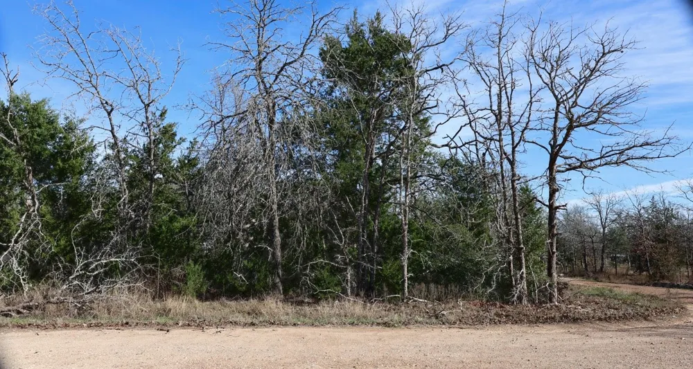 535 Blueberry Hill Road Somerville, TX 77879