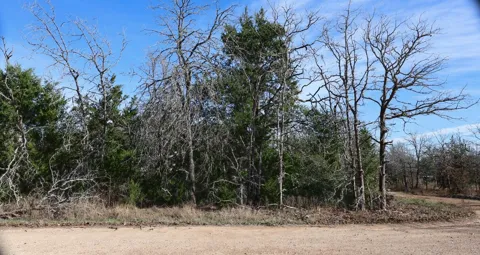 535 Blueberry Hill Road