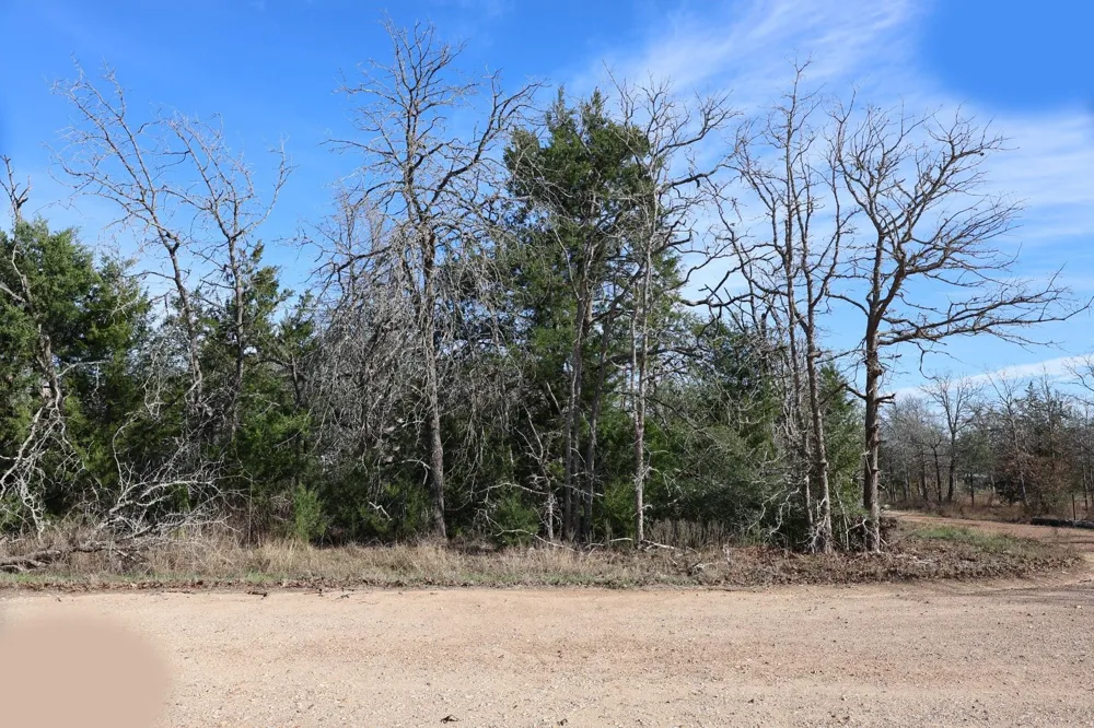 535 Blueberry Hill Road Somerville, TX 77879