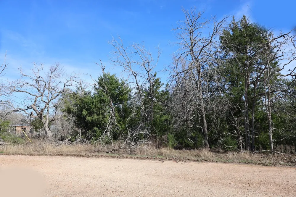 535 Blueberry Hill Road Somerville, TX 77879