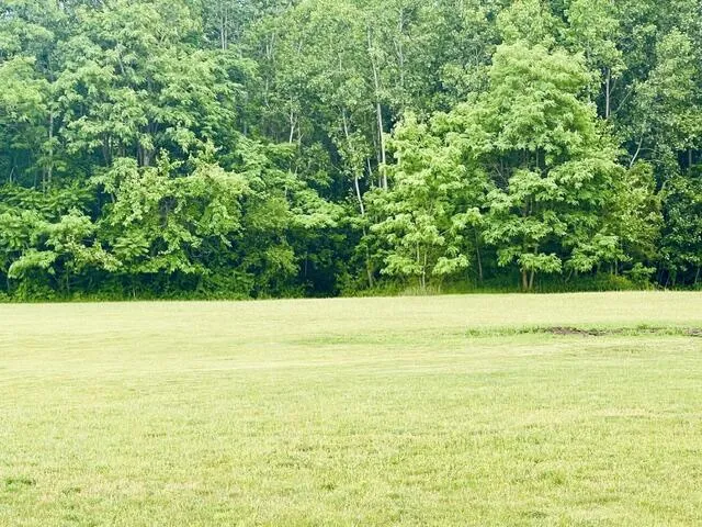 56660 Tanner Trail Three Rivers, MI 49093