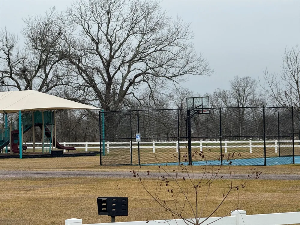 17218 Lucky Horse Drive Rosharon, TX 77583