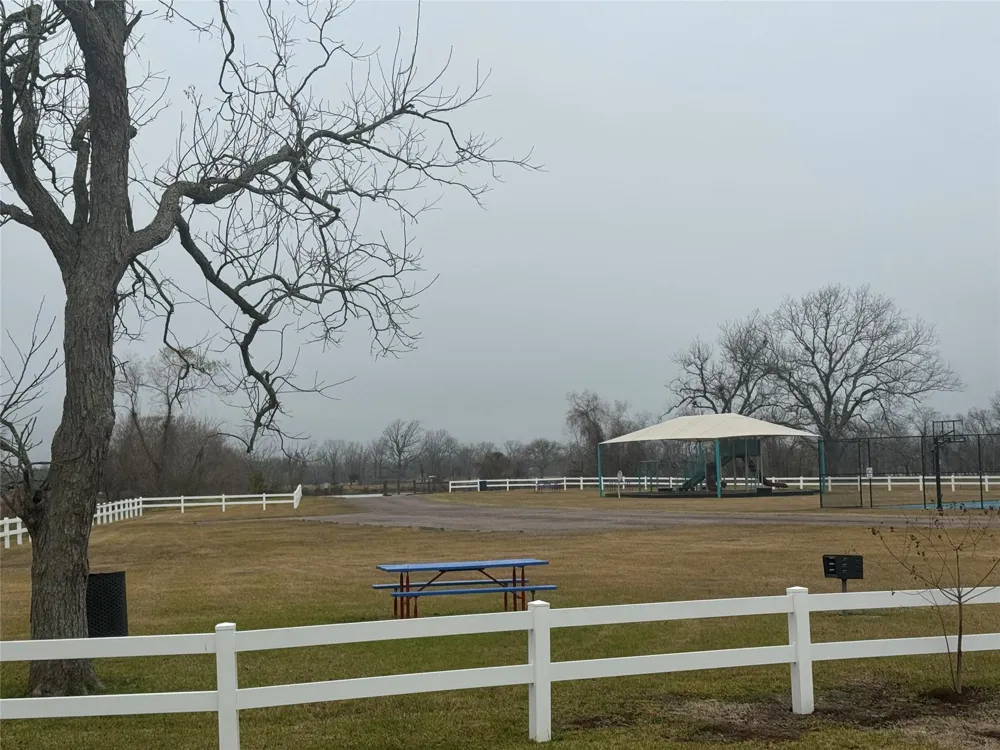 17218 Lucky Horse Drive Rosharon, TX 77583