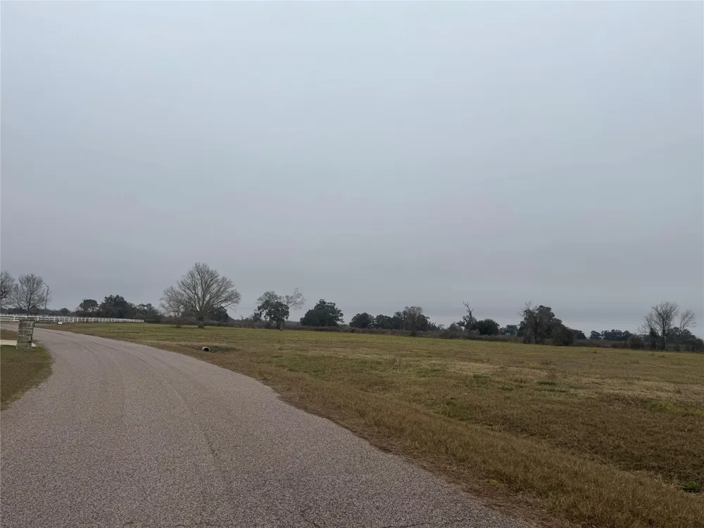 17218 Lucky Horse Drive Rosharon, TX 77583