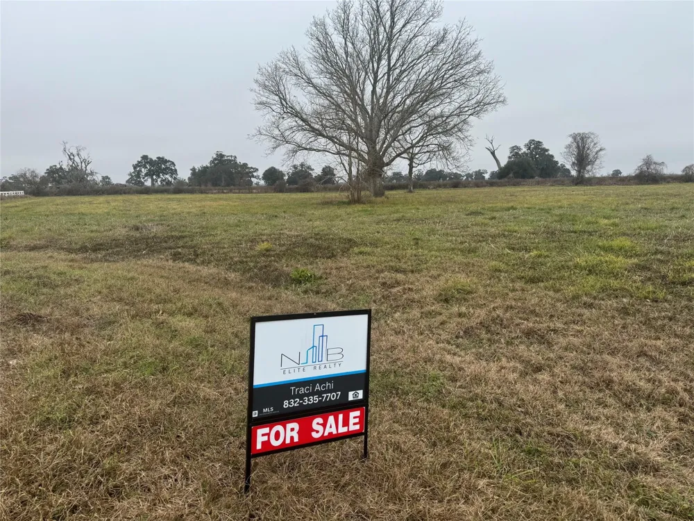 17218 Lucky Horse Drive Rosharon, TX 77583
