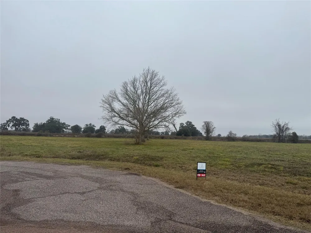 17218 Lucky Horse Drive Rosharon, TX 77583
