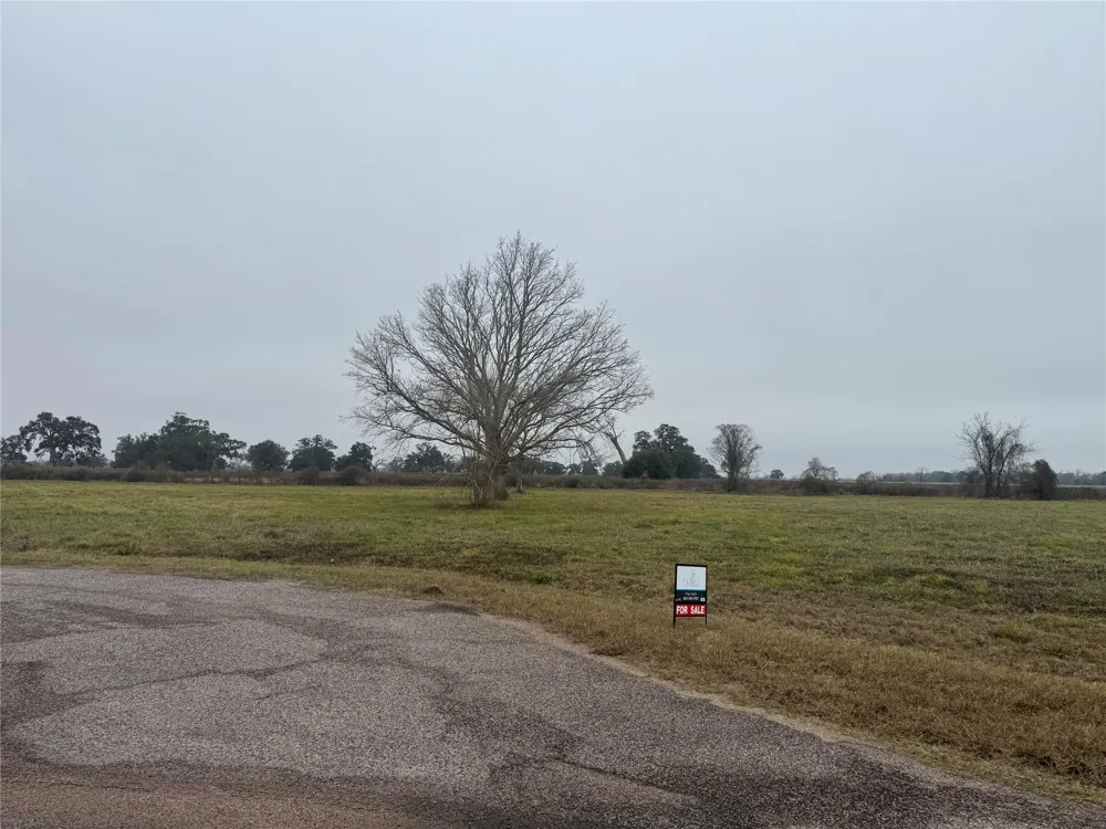 17218 Lucky Horse Drive Rosharon, TX 77583