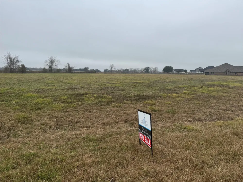 17218 Lucky Horse Drive Rosharon, TX 77583