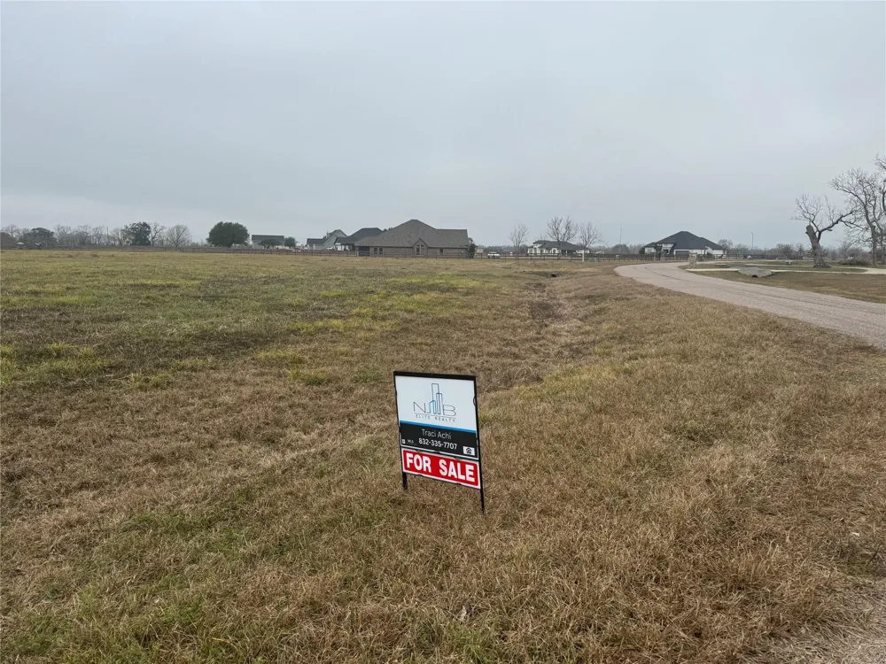 17218 Lucky Horse Drive Rosharon, TX 77583