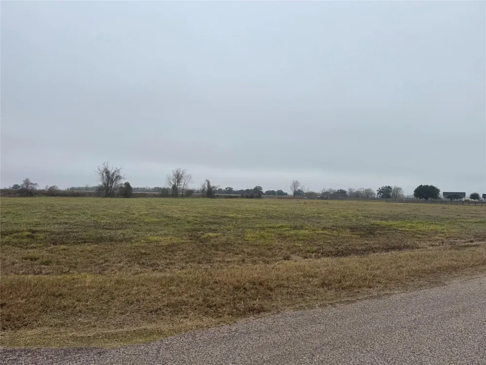 17218 Lucky Horse Drive Rosharon, TX 77583