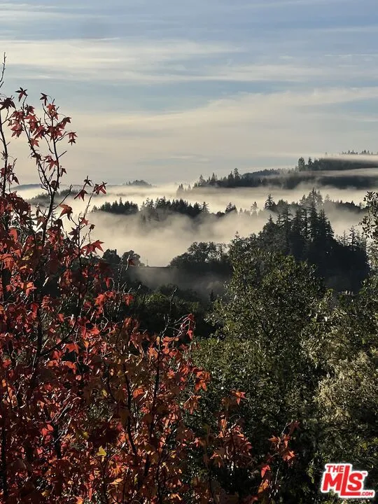 20799 Highway 128 Yorkville, CA 95494