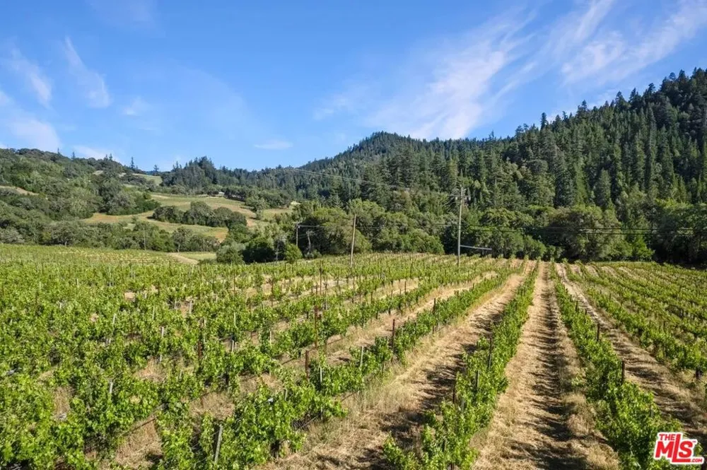 20799 Highway 128 Yorkville, CA 95494