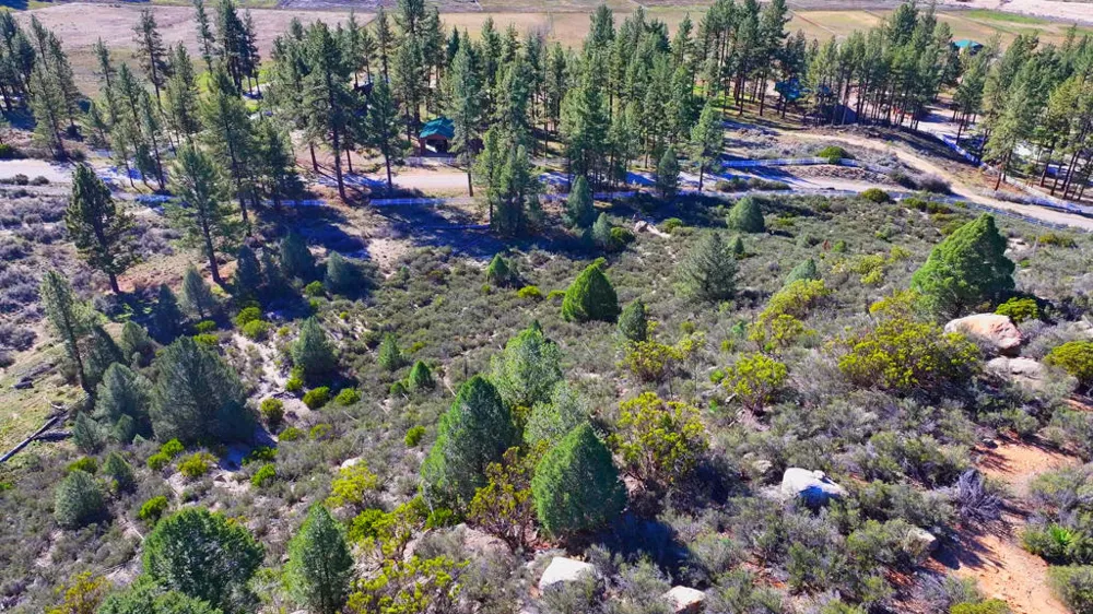 1 Butterfly Peak Road Mountain Center, CA 92561
