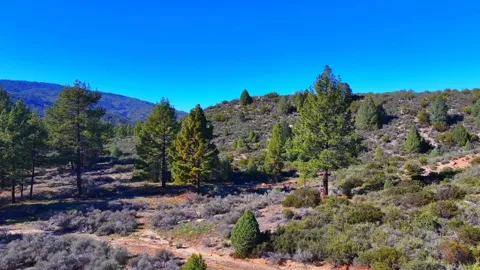 1 Butterfly Peak Road