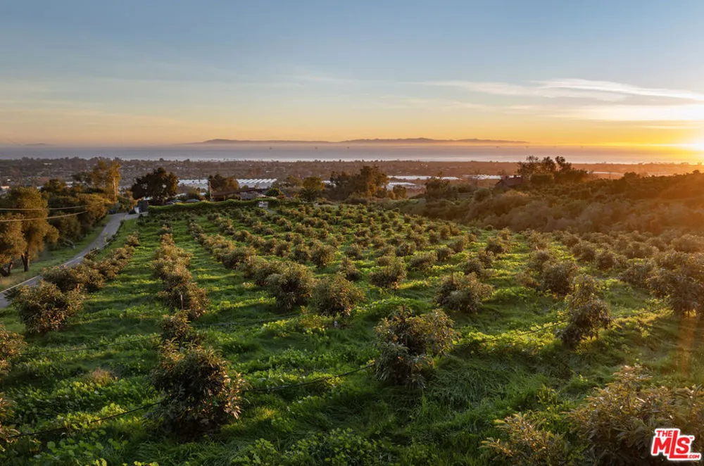 4488 Foothill Road Carpinteria, CA 93013