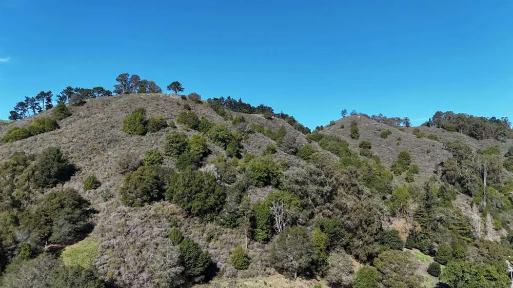 1488 Alvarado Rd. Berkeley, CA 94705