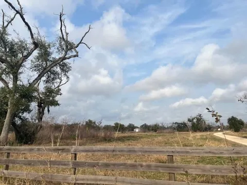 41 County Road 819