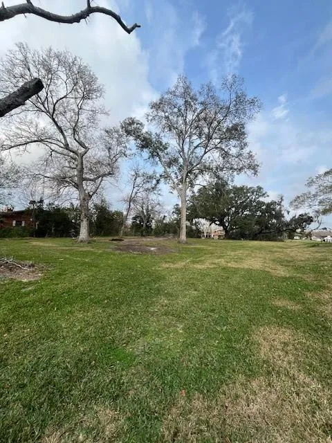 41 County Road 819 Brazoria, TX 77422