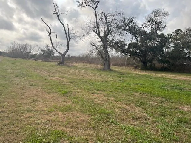 41 County Road 819 Brazoria, TX 77422
