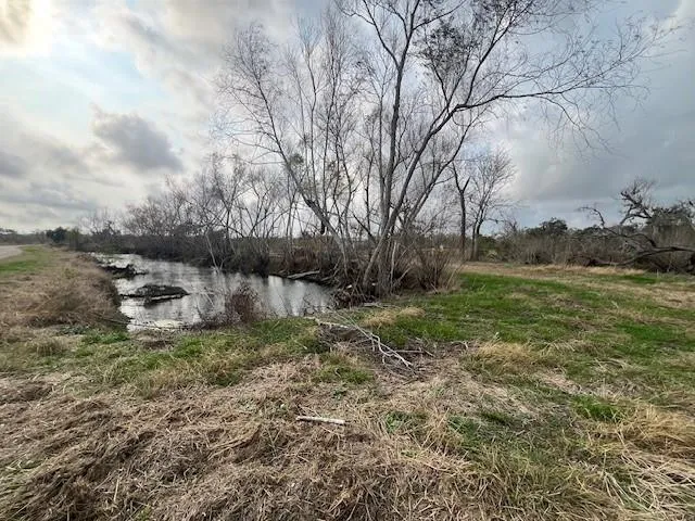 41 County Road 819 Brazoria, TX 77422