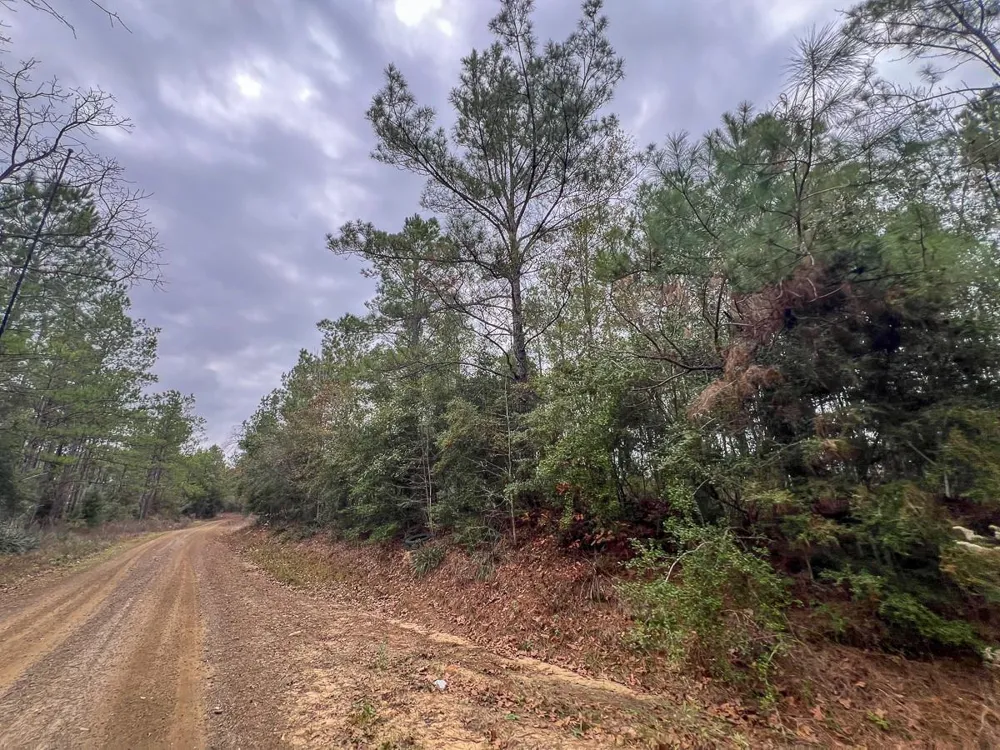 1 Fm 1012 Newton, TX 75966