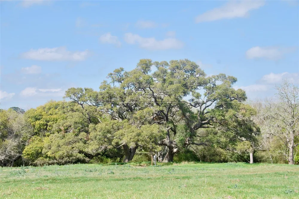 494 County Road 217c Schulenburg, TX 78956