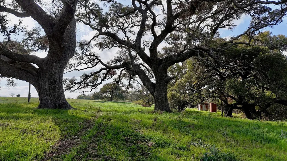 494 County Road 217c Schulenburg, TX 78956
