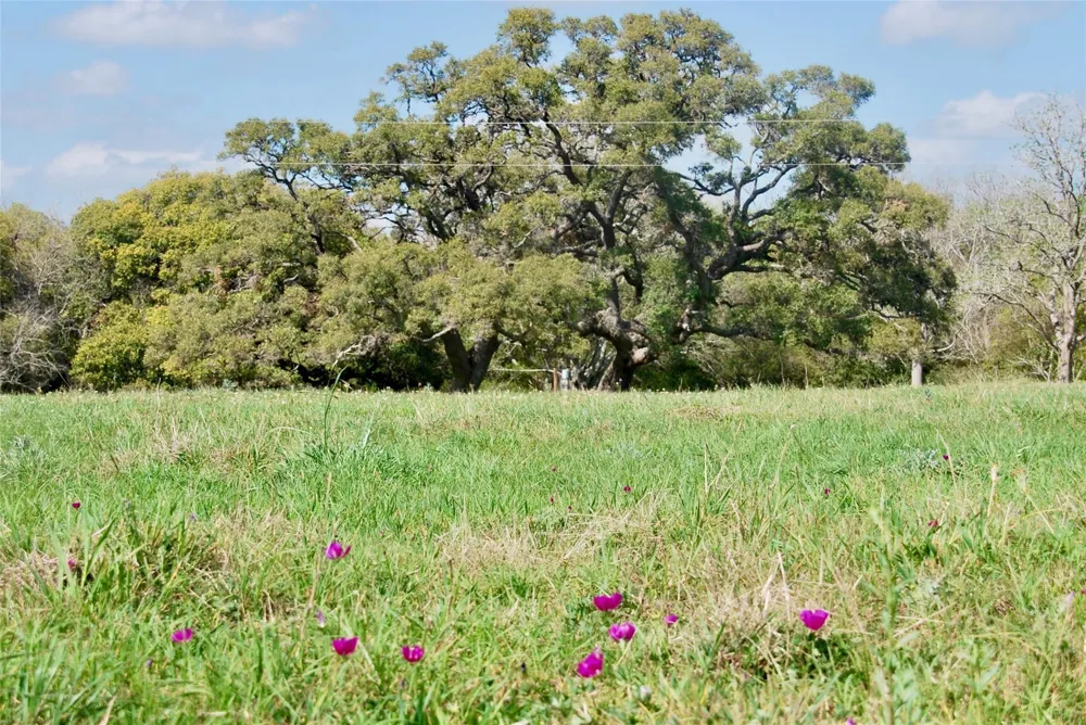 494 County Road 217c Schulenburg, TX 78956