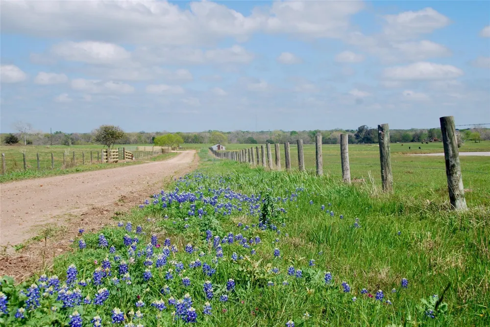 494 County Road 217c Schulenburg, TX 78956