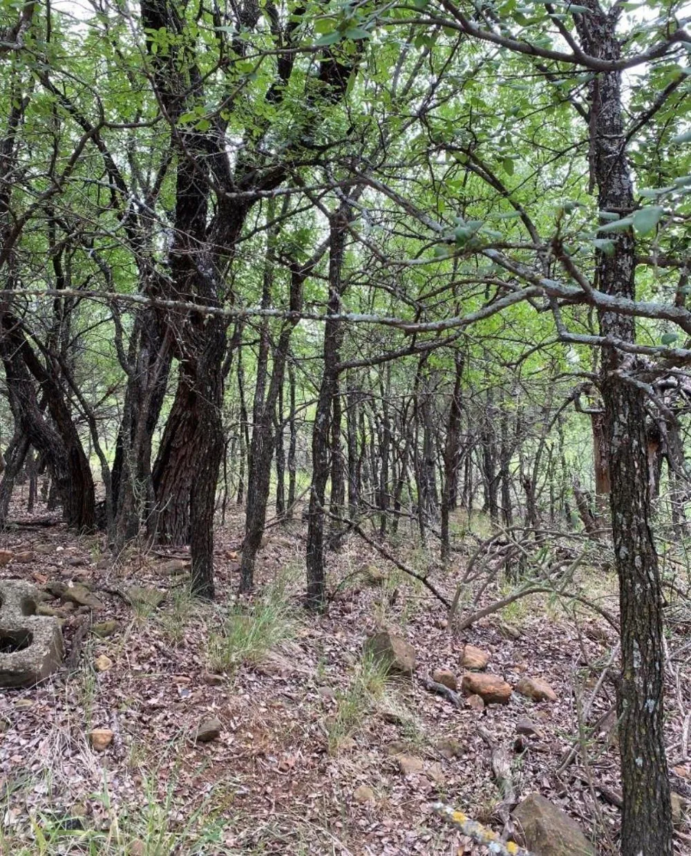 NE 8th Avenue Mineral Wells, TX 76067