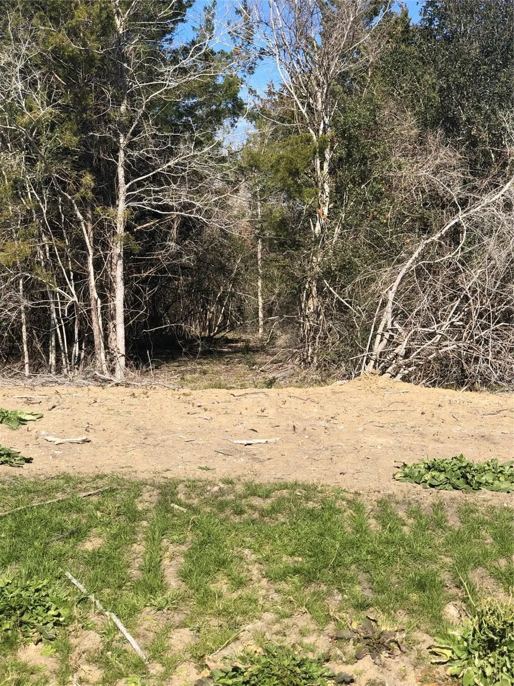 Lot 27 Winding Branch Lane Chappell Hill, TX 77426