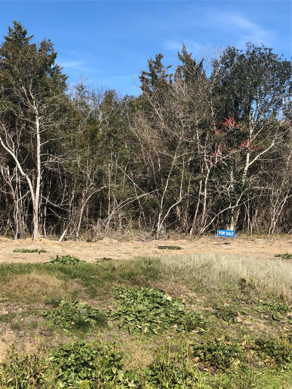 Lot 27 Winding Branch Lane Chappell Hill, TX 77426