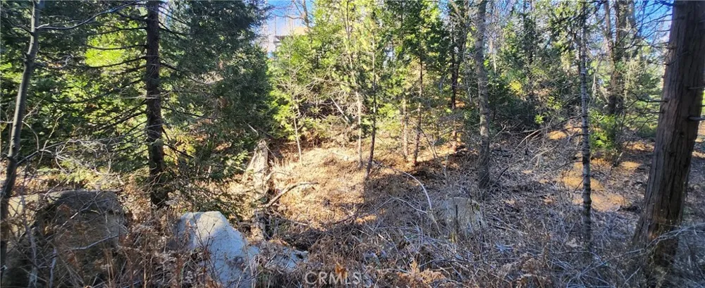 MEADOW DRIVE Lake Arrowhead, CA 92352