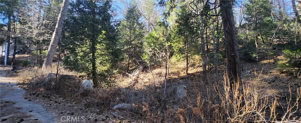 MEADOW DRIVE Lake Arrowhead, CA 92352