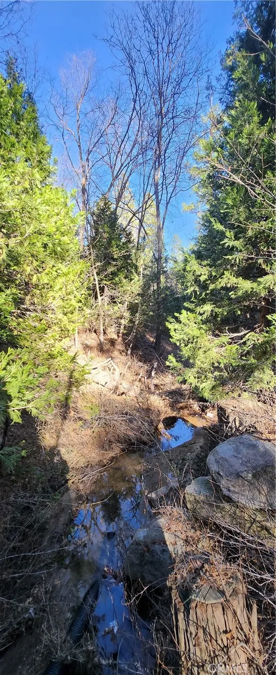 MEADOW DRIVE Lake Arrowhead, CA 92352