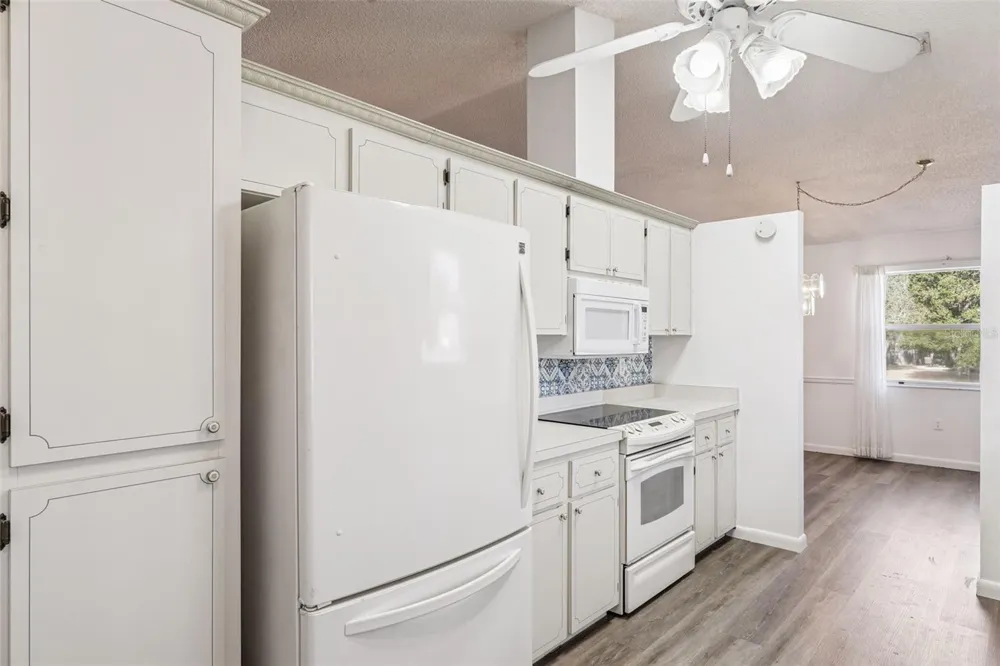 1409 NEW ABBEY AVENUE Leesburg, FL 34788