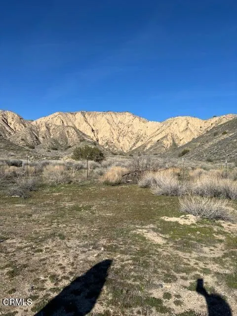 520 Quatal Canyon Road Cuyama, CA 93254