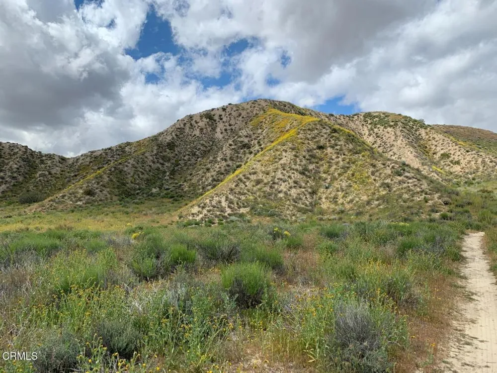 520 Quatal Canyon Road Cuyama, CA 93254