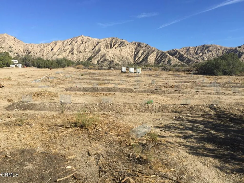 520 Quatal Canyon Road Cuyama, CA 93254