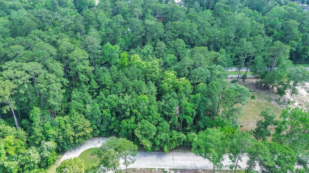 22 Majestic Falls Drive Kingwood, TX 77339