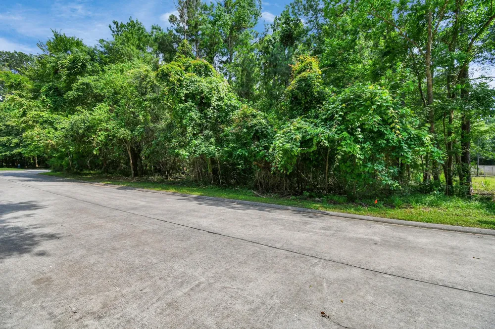 22 Majestic Falls Drive Kingwood, TX 77339