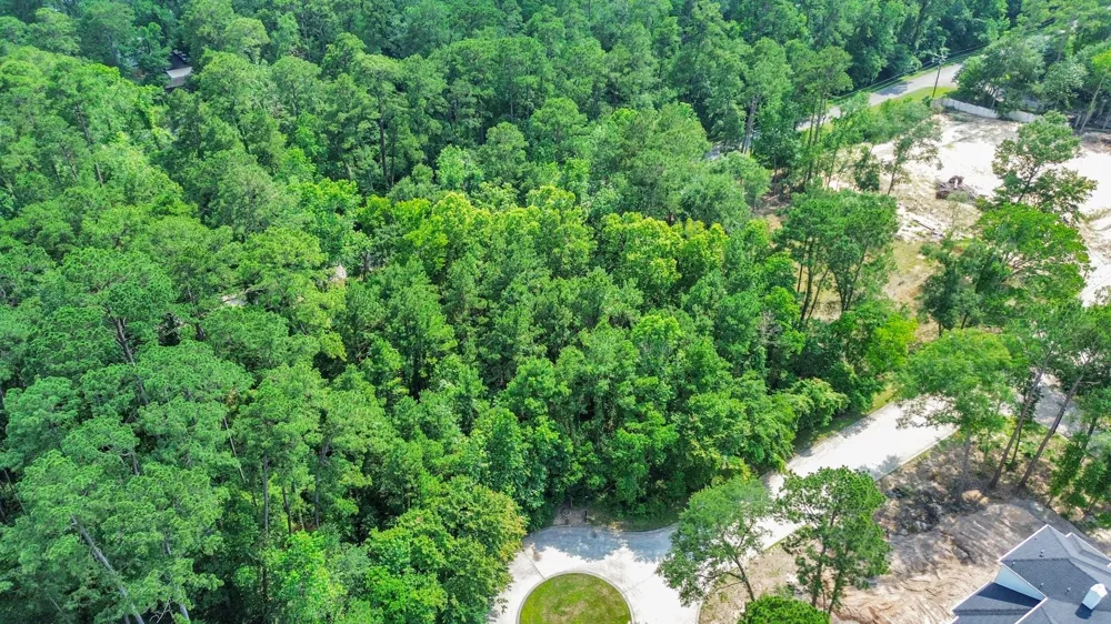 22 Majestic Falls Drive Kingwood, TX 77339