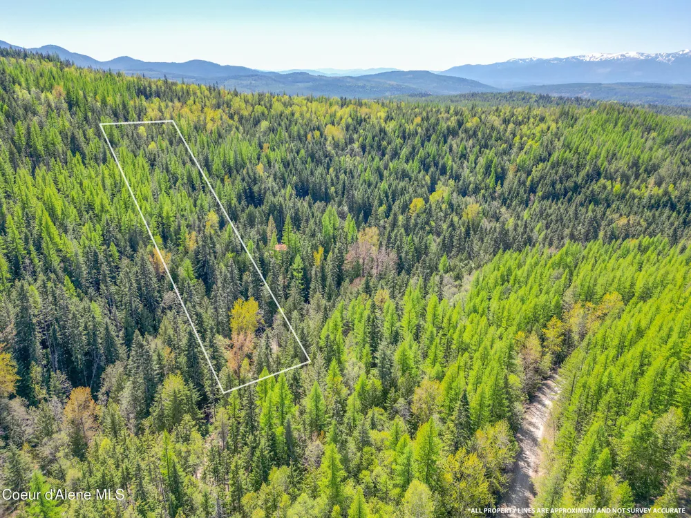 NKA Cross Mountain Rd Sandpoint, ID 83864