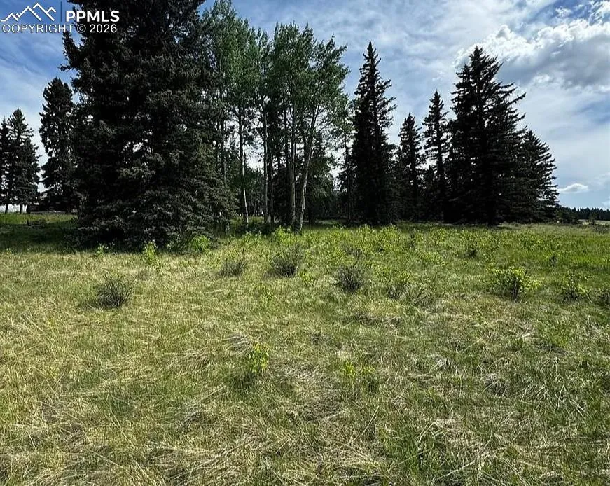 199 Joshua Road Divide, CO 80814
