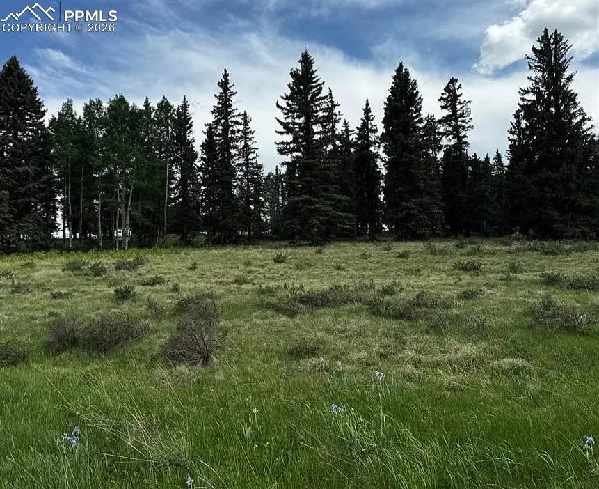 199 Joshua Road Divide, CO 80814