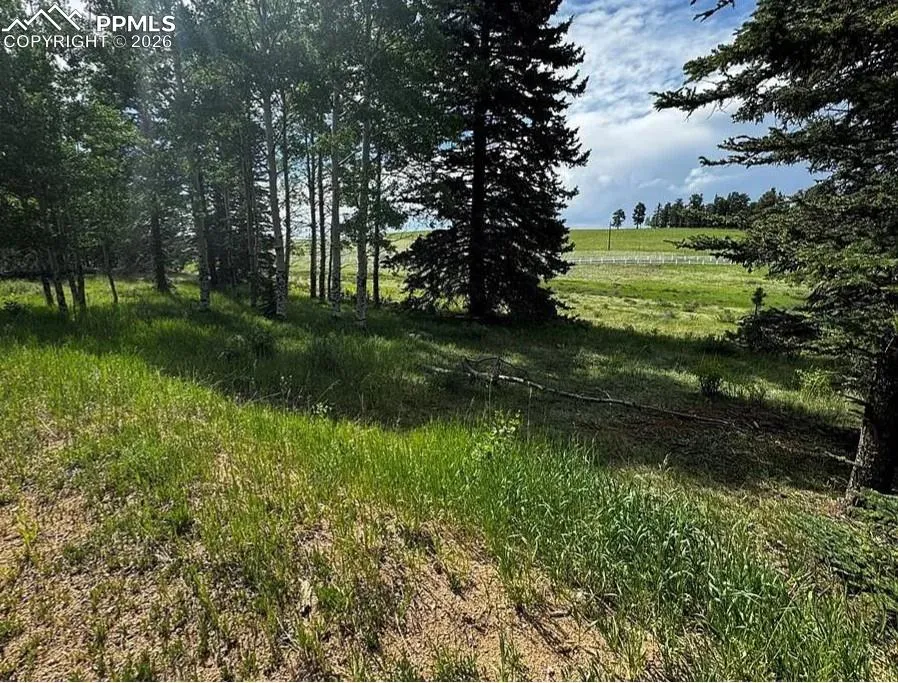 199 Joshua Road Divide, CO 80814