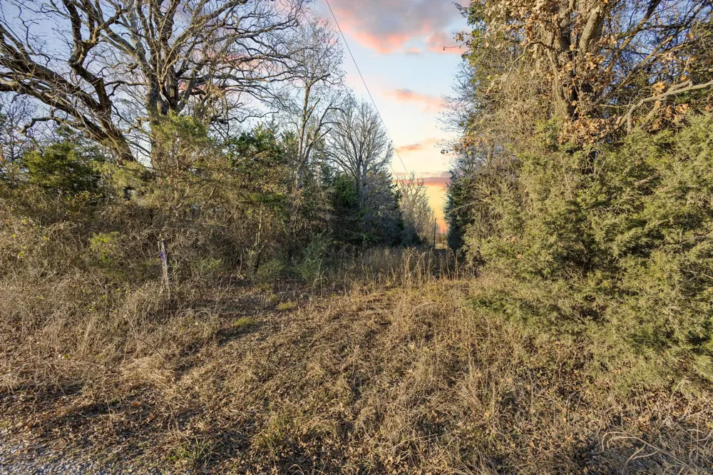 County Road 4618 Wolfe City, TX 75496
